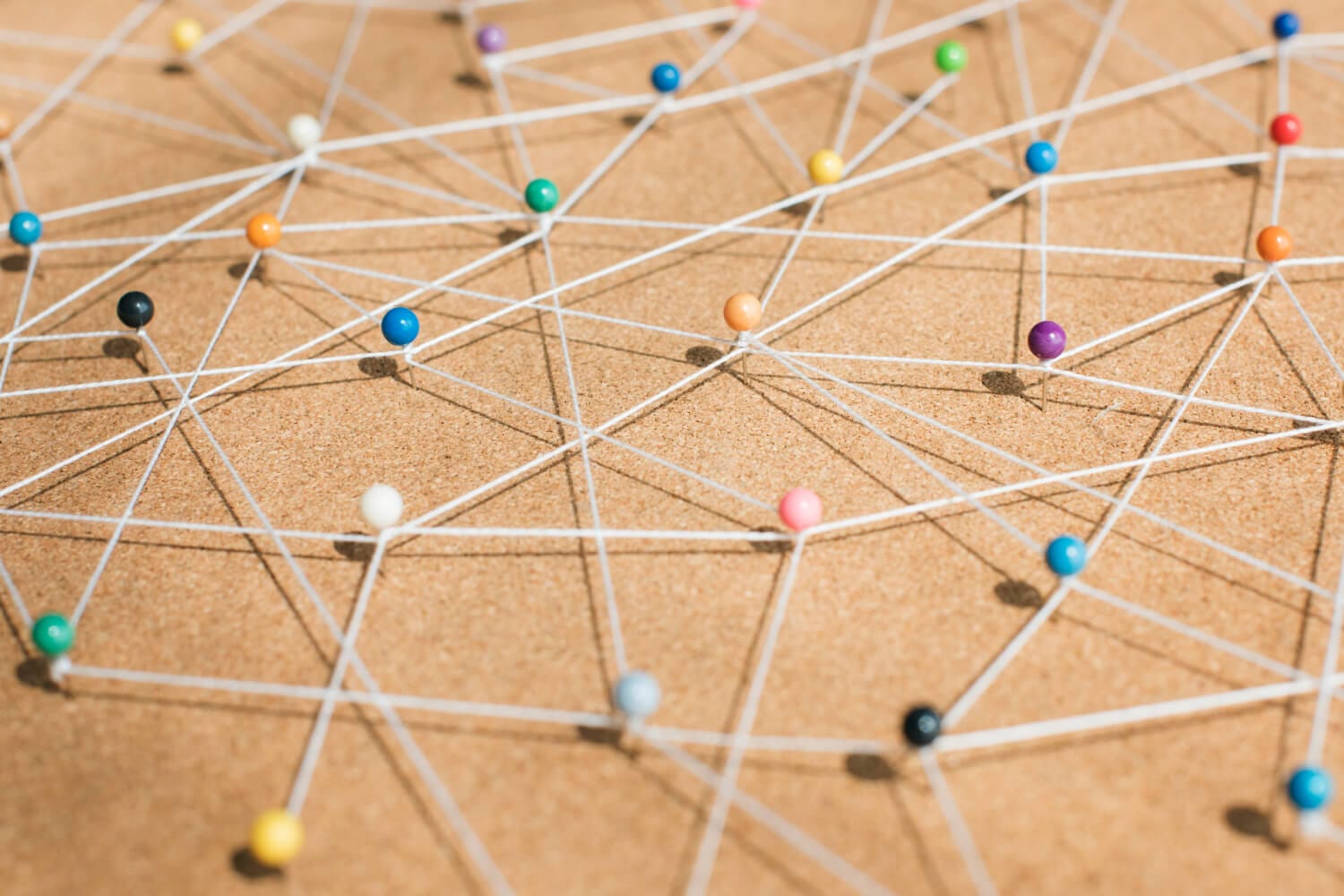 case study digiltd (3)